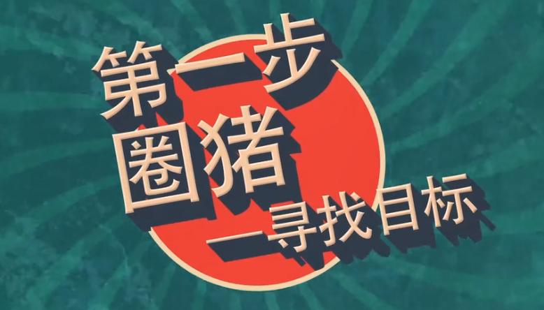 财猪理财(猪财神猪价)