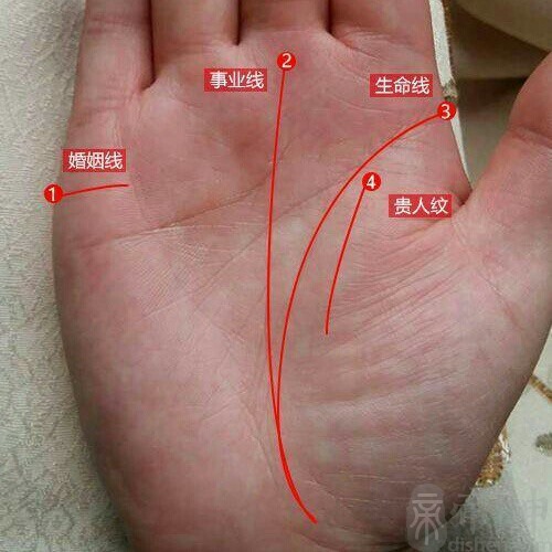 理财纹(理财纹与成功线相交)