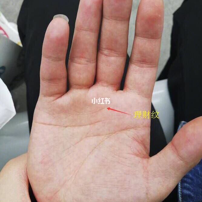 理财纹(理财纹与成功线相交)