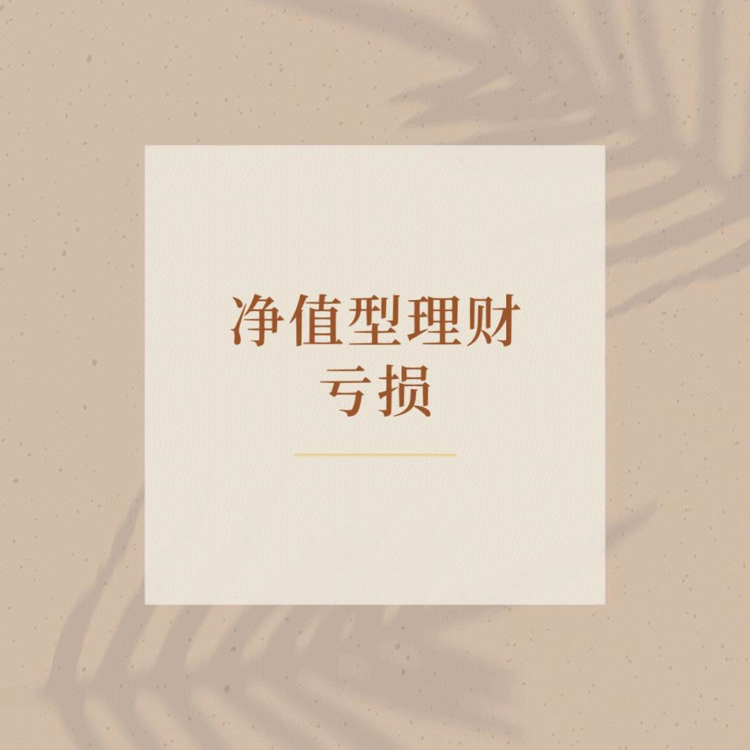 净值类理财(净值型理财有哪些种类?)