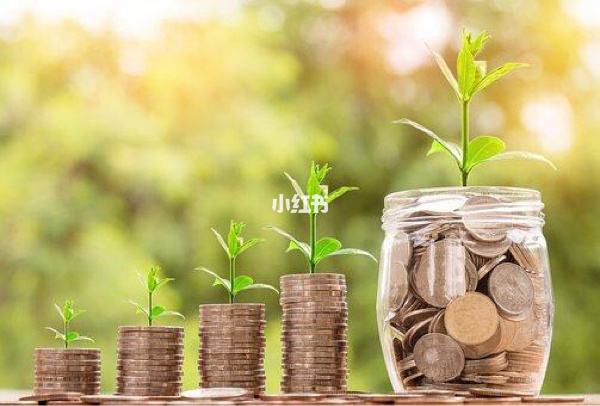 理财与基金(理财与基金有什么不同)