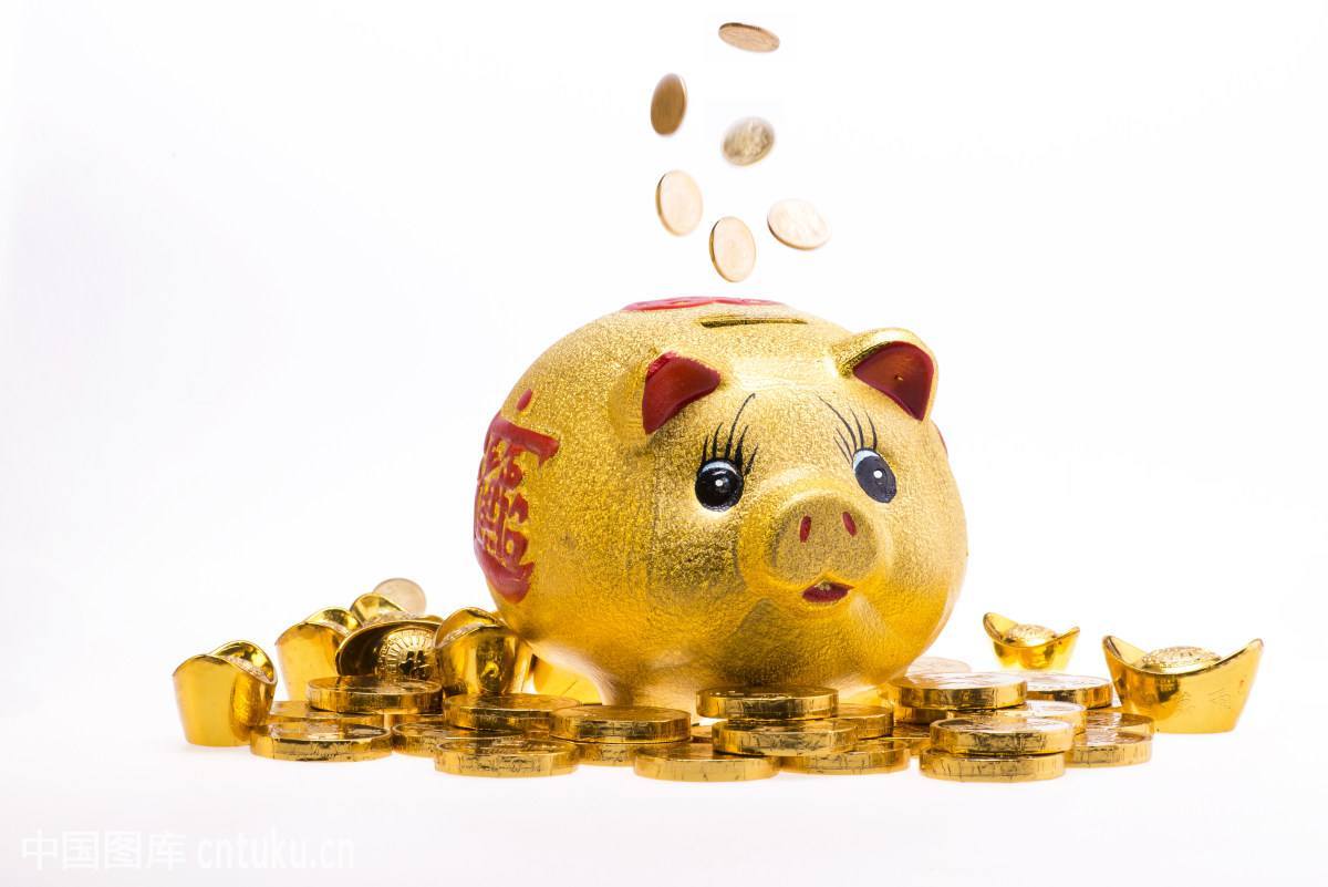 理财需要什么(理财需要什么条件)