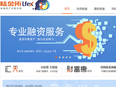 陆金所的理财(陆金所的理财利润怎么样)
